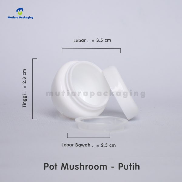 mushroom putih