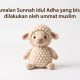 Amalan Sunnah Idul Adha Yang Bisa Dilakukan Oleh Umat Muslim